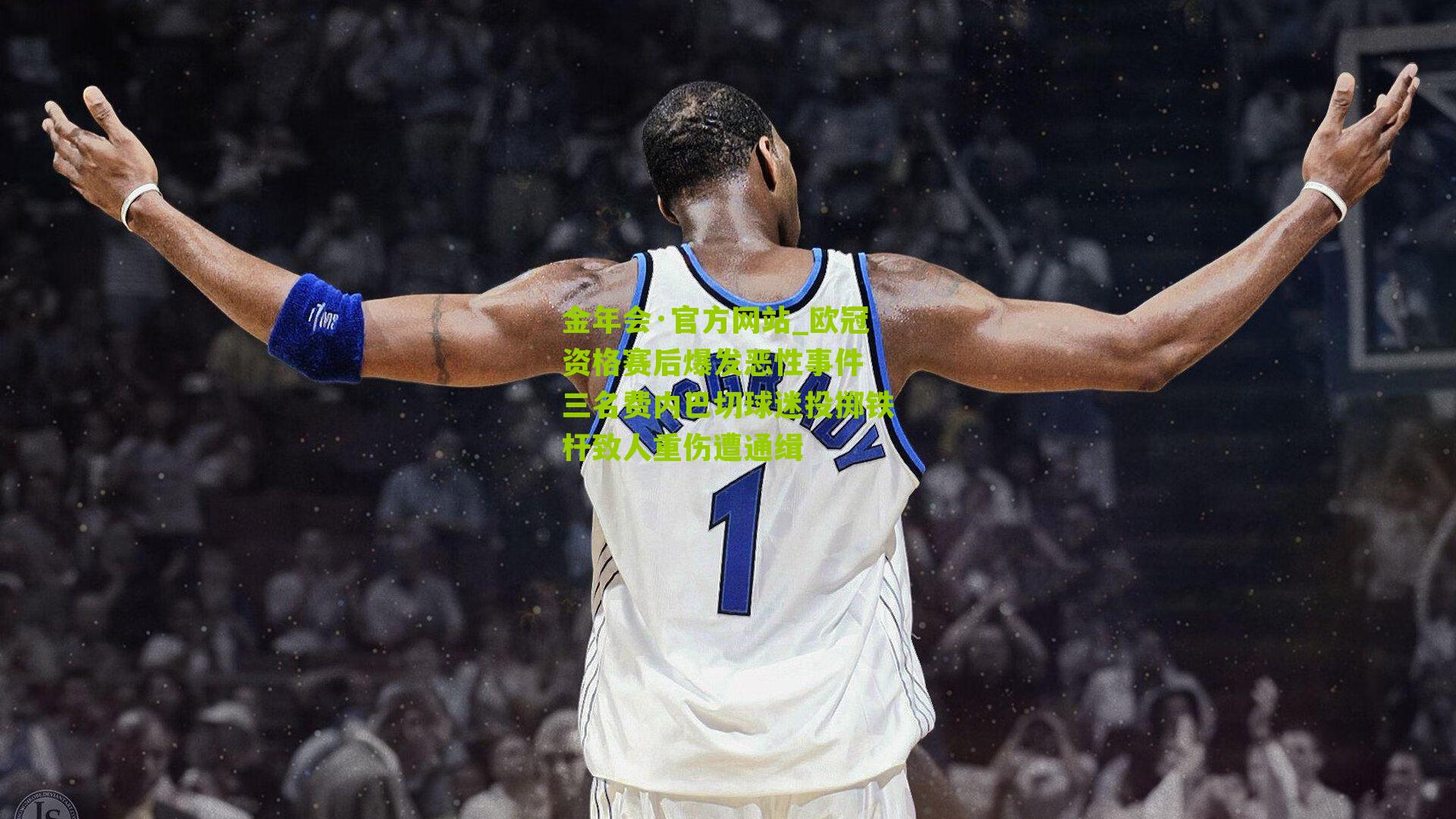 欧冠资格赛后爆发恶性事件 三名费内巴切球迷投掷铁杆致人重伤遭通缉